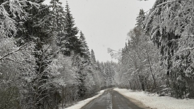 Сильный снег, -3 градуса, гололед и ветер до 18 м/с: какая погода ждет жителей Ленобласти 28 апреля