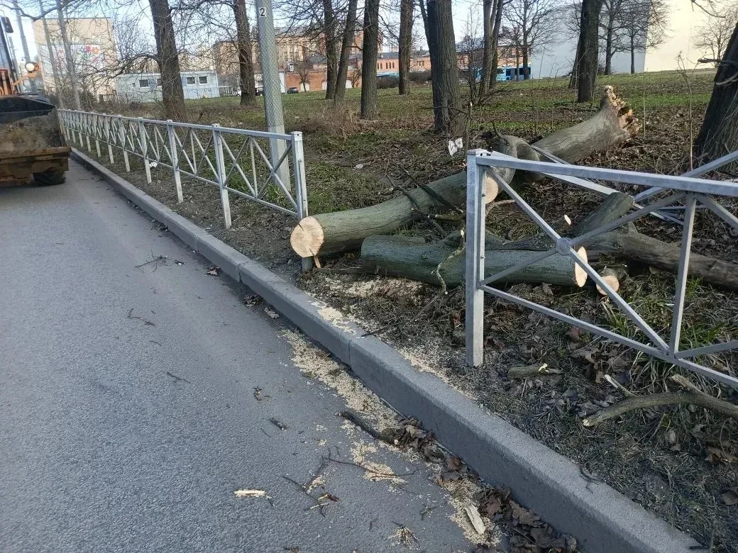 Шторм 8 апреля повалил 53 дерева в Петербурге - tvspb.ru