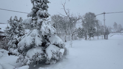 Апрельская вьюга: зима вернулась в Ленобласть
