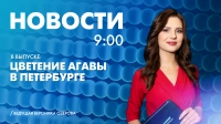 Новости Петербурга к 9:00