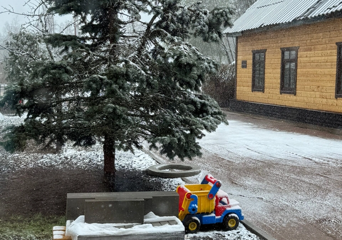 Весна против зимы: 29 апреля в Ленобласти осадки сменятся мокрым снегом, на дорогах — гололедица - tvspb.ru