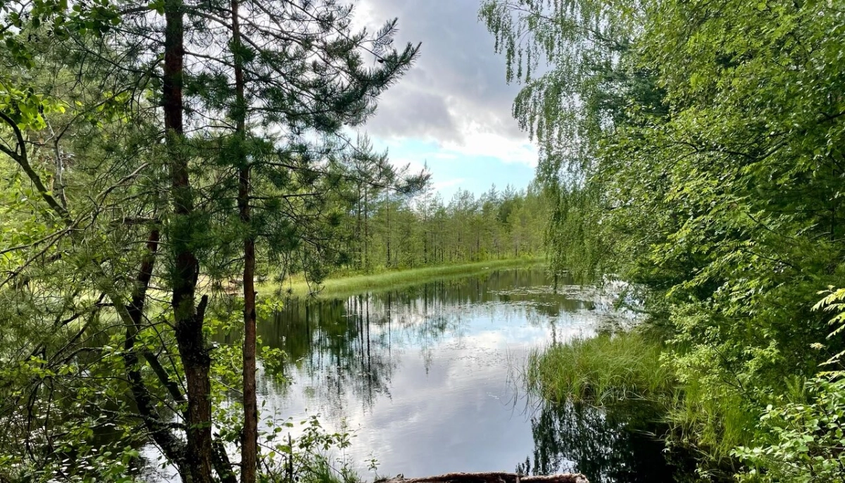 Из реки Сясь спасатели извлекли тело человека - tvspb.ru