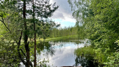 Из реки Сясь спасатели извлекли тело человека