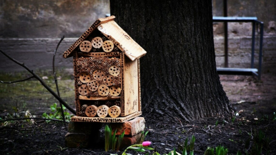 В Петербурге построили отель для насекомых