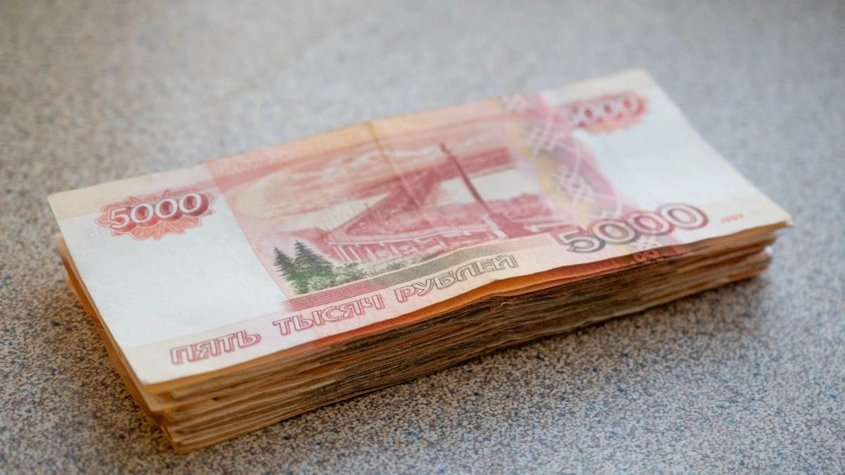 В Петербурге директор фирмы «отмыл» 450 млн через фирмы-однодневки - tvspb.ru