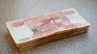 Пенсионер из Петербурга украл землю у агрофирмы на 3,4 миллиона рублей