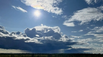 Петербуржцев предупредили о возможном загрязнении воздуха 14 апреля