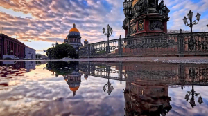 Пульс города. Кургальский заказник, разводные мосты, кошки Санкт-Петербурга. 17 апреля 2026