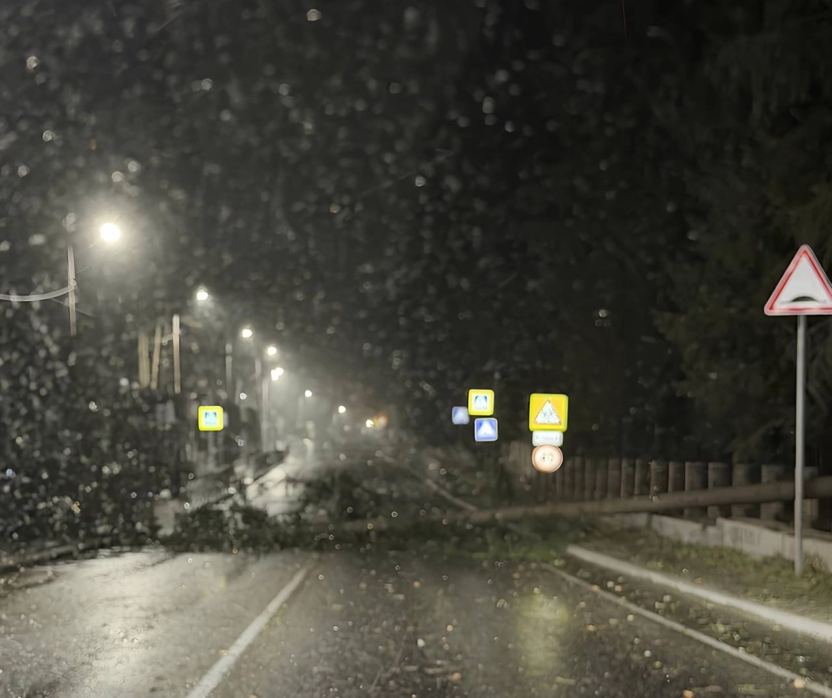 Пятница, 24 апреля, в Ленобласти будет ветреной и снежной, ночью — до -6 градусов - tvspb.ru
