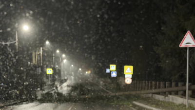 Пятница, 24 апреля, в Ленобласти будет ветреной и снежной, ночью — до -6 градусов