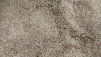 В Петербург не пустили 100 тонн камбоджийского риса: на груз не было документов