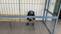 «Ангарский маньяк» получил окончательный пожизненный срок