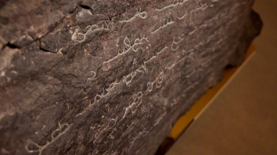 Ближе, чем кажется: в Петербурге хранятся уникальные артефакты эпохи Тамерлана