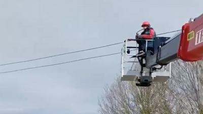 Восстановление завершат сегодня: в Ленобласти без света остаются 13 тысяч человек