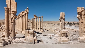 Александр Беглов: Российские и сирийские специалисты возобновляют контакты по проекту реставрации Триумфальной Арки Пальмиры