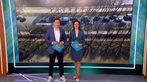 Утро в Петербурге 6 апреля