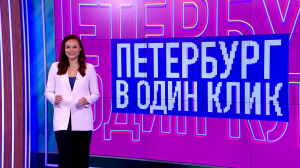 Дрифтеры на моноколёсах, первые кораблики, берёзовые качели и по Невскому — с собакой на плече: о чём рассказывали жители Петербурга в соцсетях