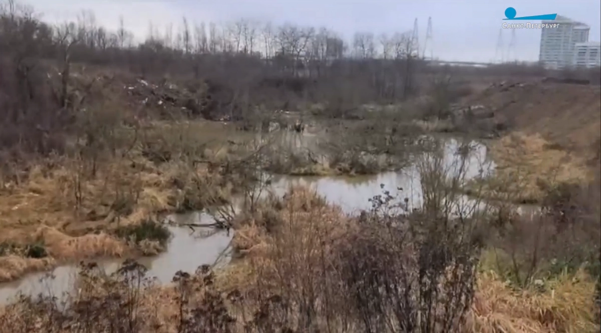 Ущерб от загрязнения реки Утки превысил 67 миллионов рублей - tvspb.ru