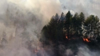 Нижне-Свирский заповедник оказался в окружении пожаров
