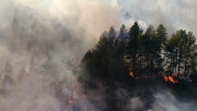 Нижне-Свирский заповедник оказался в окружении пожаров