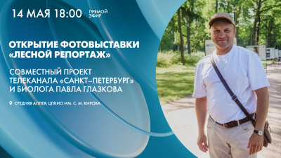 Открытие фотовыставки «Лесной репортаж» с Павлом Глазковым. Онлайн-трансляция
