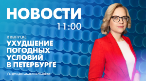 Новости Петербурга к 11:00