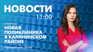 Новости Петербурга к 11:00