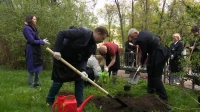 В саду музея-усадьбы Державина высадили 12 кустарников