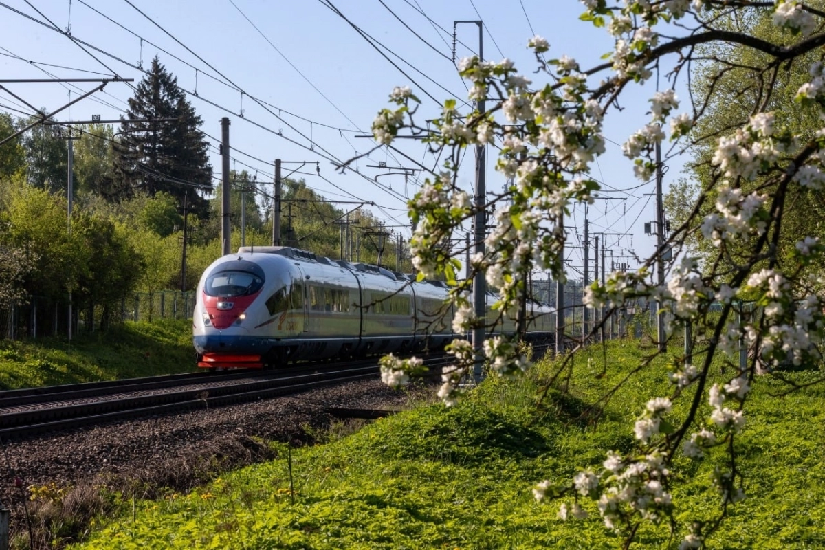 В дни ПМЭФ-2026 между Москвой и Петербургом запустят дополнительные сдвоенные «Сапсаны» - tvspb.ru