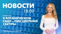 Новости Петербурга к 18:00