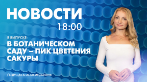 Новости Петербурга к 18:00
