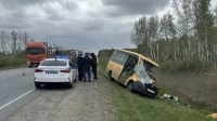 Смертельное ДТП на трассе «Тюмень–Омск»: школьный автобус столкнулся с большегрузом