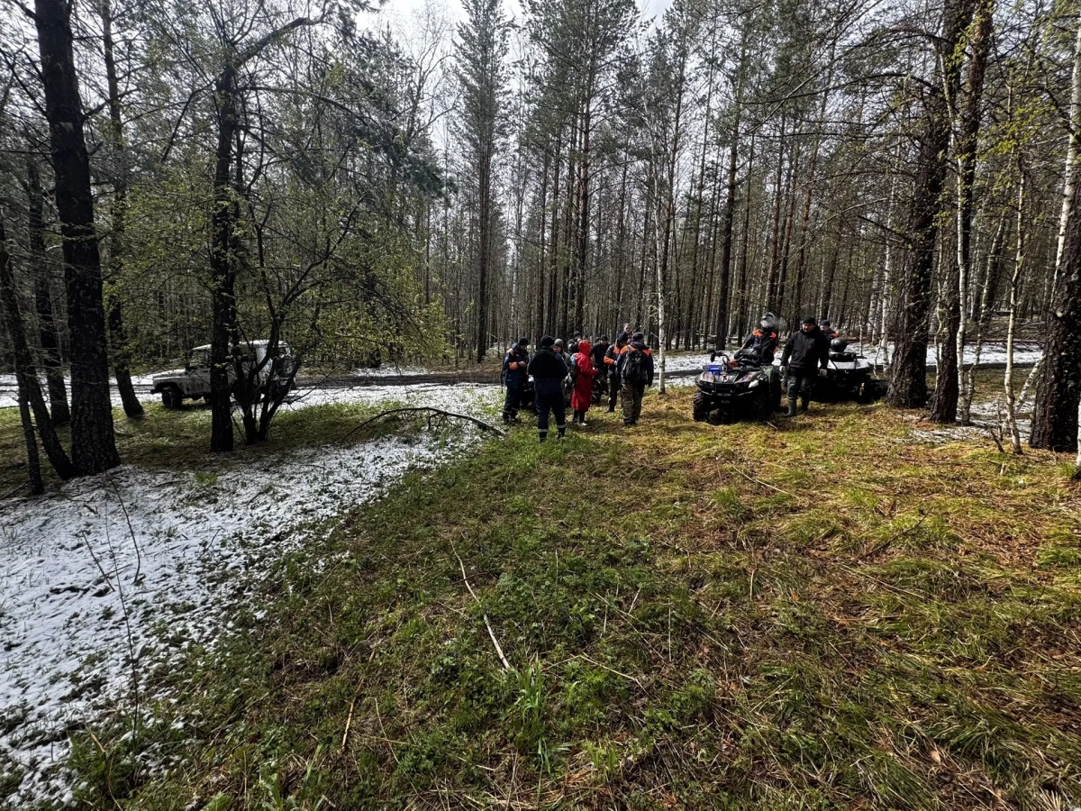 28 километров тайги и ни одного следа: что известно о новом этапе поиска Усольцевых - tvspb.ru