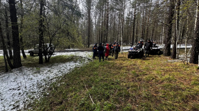 28 километров тайги и ни одного следа: что известно о новом этапе поиска Усольцевых