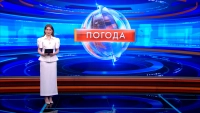 Дождливо и до +17: какая погода ожидается в Петербурге 22 мая