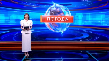 Дождливо и до +17: какая погода ожидается в Петербурге 22 мая