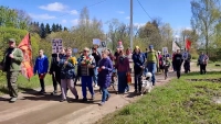 «Солдатские» березы: как в деревне Бетково прошел «Бессмертный полк»