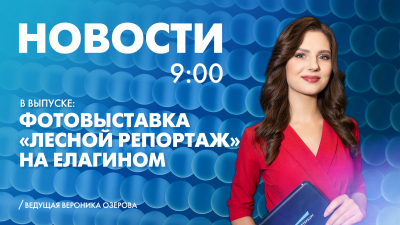 Новости Петербурга к 9:00
