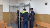 Похищение ради мести: двое жителей Гатчинского района избили обидчика матери и увезли в садоводство