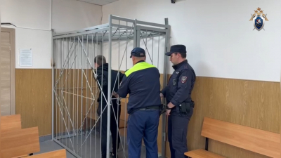 Похищение ради мести: двое жителей Гатчинского района избили обидчика матери и увезли в садоводство