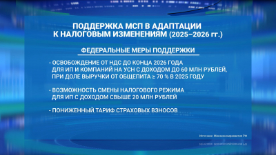 Малый бизнес поддержат в переходный период: новые налоговые льготы и спецпакеты услуг