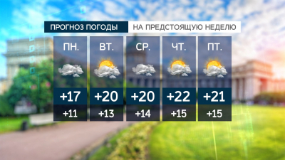Днем 31 мая синоптики обещают в Петербурге +16