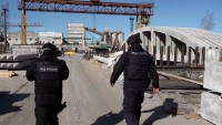 200 иностранцев проверили во время рейда на заводах в Лужском районе