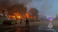 Огонь охватил 500 «квадратов»: в Ленобласти потушили крупный пожар на мебельном складе