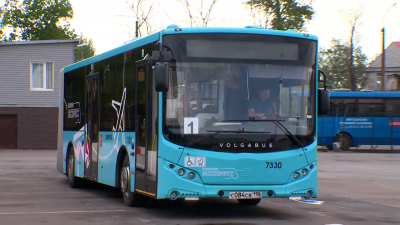В Петербурге выберут лучшего водителя автобуса