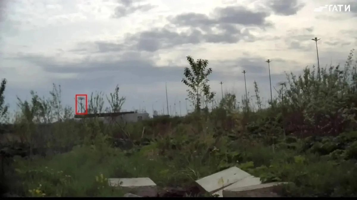 Нейросеть «Городовой» обнаружила первый в сезоне борщевик в Московском районе - tvspb.ru