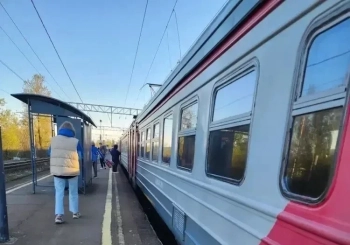 На участке Семрино — Кобралово остановлено движение: прокуратура проводит проверку