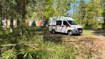 Укус гадюки в Ленобласти стал смертельным: врачи напомнили, как спастись