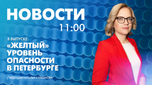Новости Петербурга к 11:00