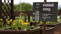В парке Авиаторов появится кухонный огород